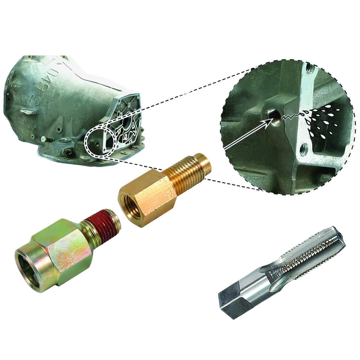 S12996CK_1200x1200.png?v=