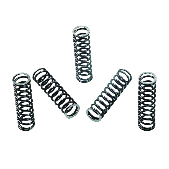 Sonnax 44912-01 45RFE/545RFE/68RFE TCC Accumulator Springs (5 Pieces)